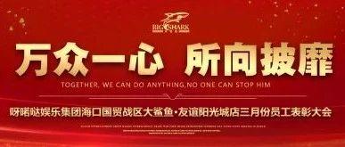 BIG SHARK-大鲨鱼 · 海口店【万众一心，所向披靡】三月员工表彰大会回顾