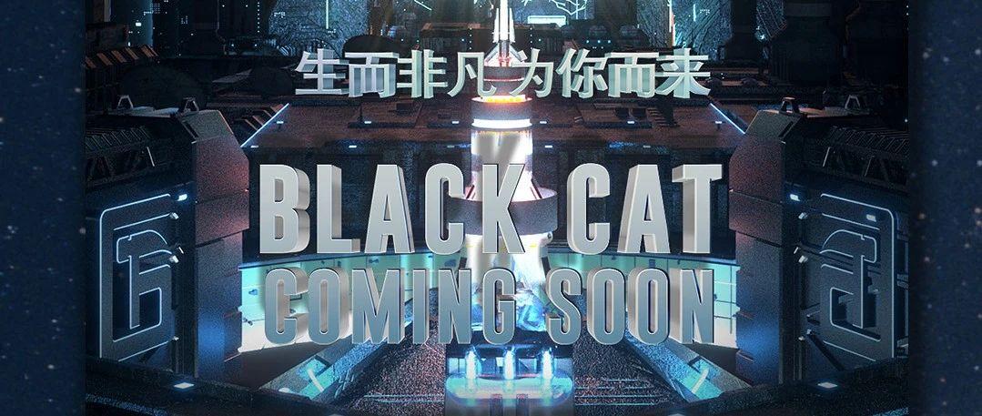 梦迪集团BLACK CAT开启2.0时代，敬请期待