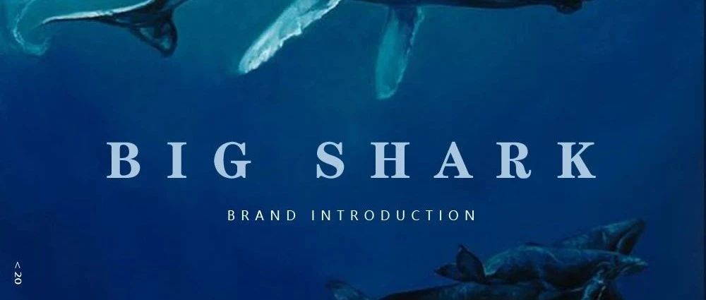 BIG SHARK|无垠之海 巨鲨降临