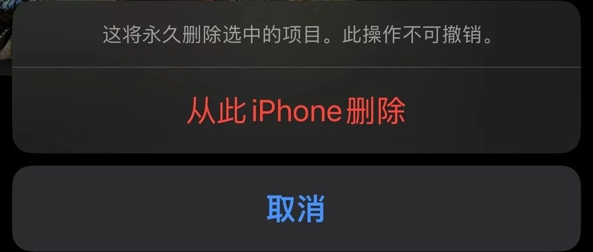 2024年第一场日出用iPhone15 Pro Max拍可以吗？